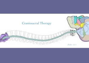 Craniosacral Therapist/ Therapeutic Restoration