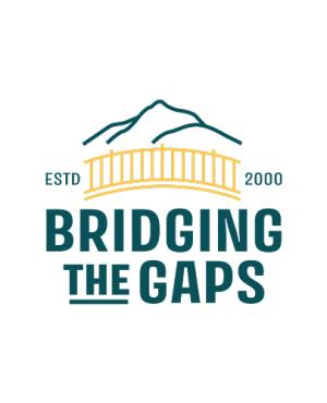 bridgingthegaps