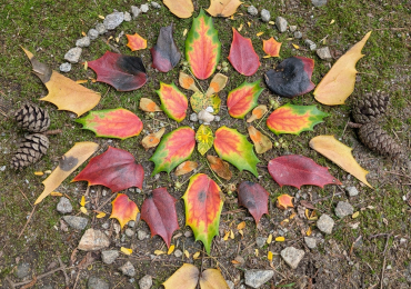 Cait Fogerty at The Counseling Zebra