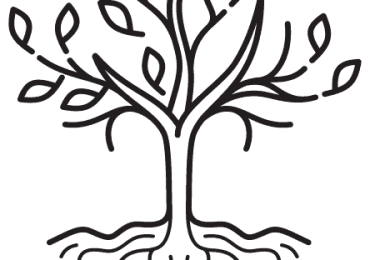 Root to Rise Counseling, Meghan Kaloper LMHC